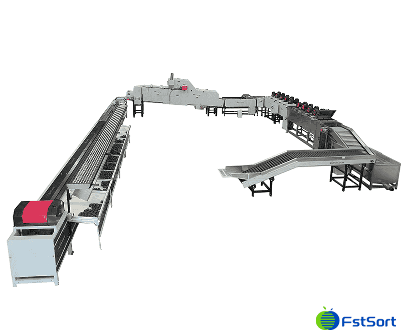 images/1747643399708avocado grading line.png